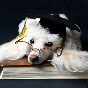 essay on playing truant essay on playing truant
